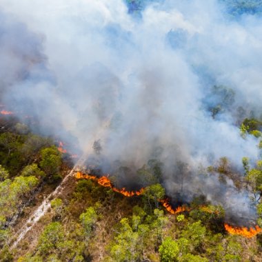 Fumul incendiilor canadiene a ucis peste 22.000 de persoane în Europa