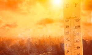 Canicula a ucis aproape 5.000 de români în vara anului 2024
