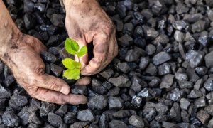 80% dintre habitatele protejate din UE, în stare critică din cauza schimbărilor climatice