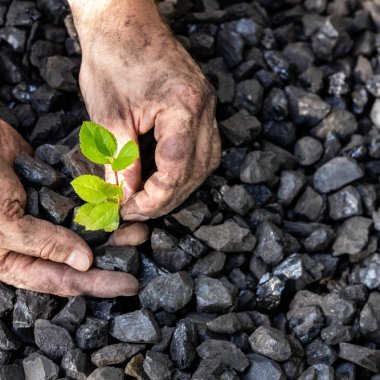 80% dintre habitatele protejate din UE, în stare critică din cauza schimbărilor climatice