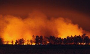 Cum transformă incendiile de vegetație clima planetei