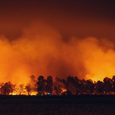 Cum transformă incendiile de vegetație clima planetei
