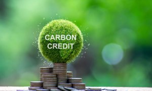 Doar 16% dintre creditele de carbon au efect real asupra climei