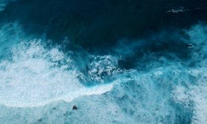 Perturbare biologică: căldura marină compromite captarea de carbon în oceane