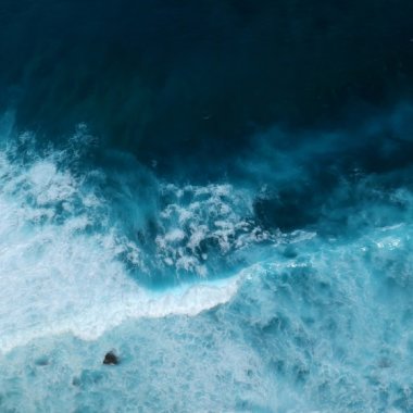 Perturbare biologică: căldura marină compromite captarea de carbon în oceane