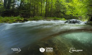 Rewilding România obține o nouă finanțare pentru restaurarea râurilor din Carpații Meridionali