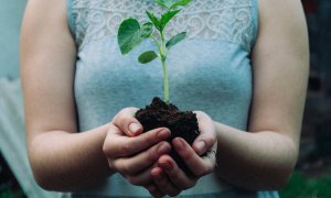 Cum poți planta copaci cu ajutorul acestei aplicații românești