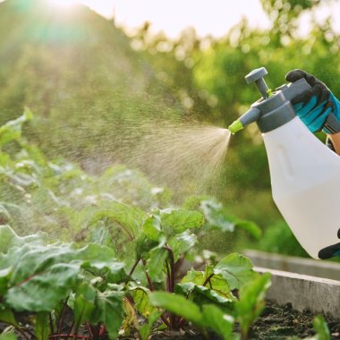 Departe de ferme, dar nu de pesticide: expunerea chimică, prezentă și în mediul urban