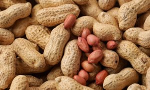 Protect the Peanut: Mars investește 5 milioane de dolari pentru a proteja arahidele