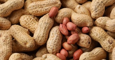 Protect the Peanut: Mars investește 5 milioane de dolari pentru a proteja arahidele