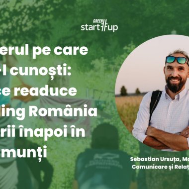 Inginerul pe care nu-l cunoști: de ce readuce Rewilding România zimbrii înapoi în munți