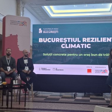 Parcul Tineretului: 3 direcții de acțiune pentru a combate schimbările climatice