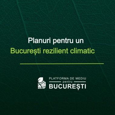 Platforma de Mediu pentru București: 500.000 de lei pentru proiecte care cresc reziliența orașului