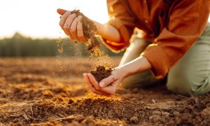 Sub picioarele noastre: de ce solul contează în lupta împotriva schimbărilor climatice
