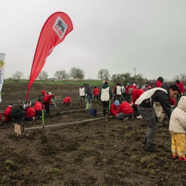 Mega Image se implică în plantarea a 12.000 de copaci în județul Giurgiu