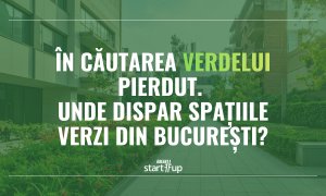În căutarea verdelui pierdut. Unde dispar spațiile verzi din București?