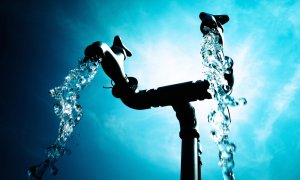 Criza apei globale: 410 milioane de hectare de zone umede au dispărut