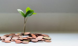 Fondul climatic de 1,2 miliarde de dolari care contribuie la schimbarea sustenabilă a planetei