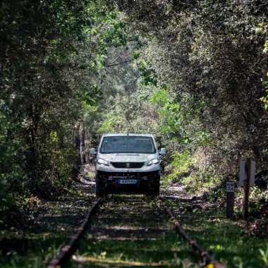 Proiectul sustenabil care te încurajează să intri cu mașina pe șinele de tramvai