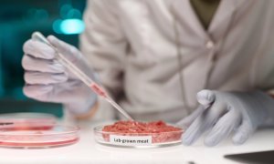 Foie gras de laborator, pui cultivat din celule animale | Printre alimentele care vor ajunge pe mese în 2035