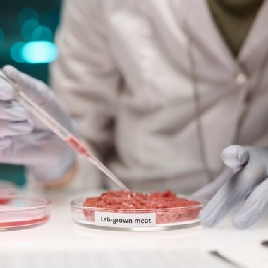Foie gras de laborator, pui cultivat din celule animale | Printre alimentele care vor ajunge pe mese în 2035