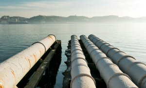 Putem capta 30 de milioane de tone de CO2 anual dacă folosim acest deșeu