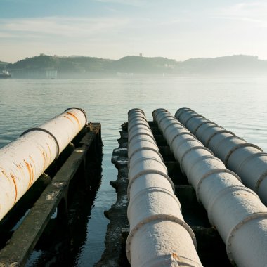 Putem capta 30 de milioane de tone de CO2 anual dacă folosim acest deșeu