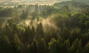 România intră pe harta digitală a sunetelor din natură pentru promovarea turismului