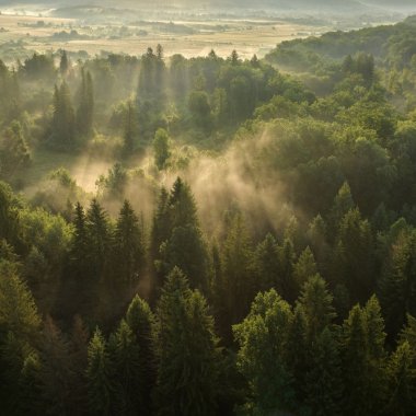 România intră pe harta digitală a sunetelor din natură pentru promovarea turismului