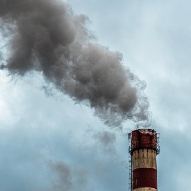 România și Cehia sunt responsabile pentru 25% din emisiile de metan la nivel european