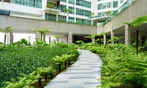 Natura urbană nu mai este un lux: cum influențează spațiile verzi alegerea unei locuințe