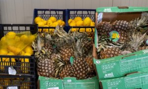 Cum pregătim bugetul alimentar de vacanță fără să aruncăm mâncare