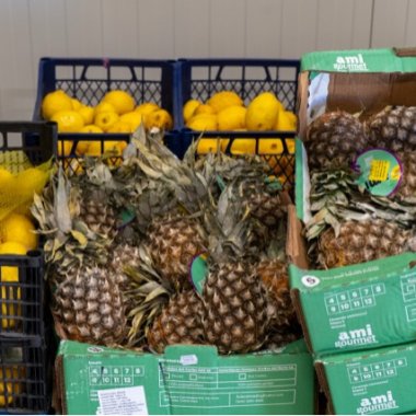 Cum pregătim bugetul alimentar de vacanță fără să aruncăm mâncare