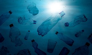52,1 milioane de tone de plastic ajung anual în oceane și afectează peste 4.000 de specii