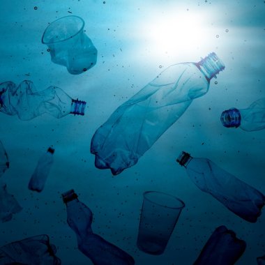 52,1 milioane de tone de plastic ajung anual în oceane și afectează peste 4.000 de specii