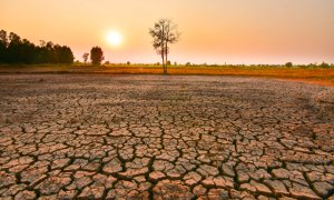 Fenomenul El Niño a început oficial. Cum va influența vremea în următoarele luni?