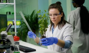 Cum se poate folosi inteligența artificială pentru a identifica și conserva specii rare de plante