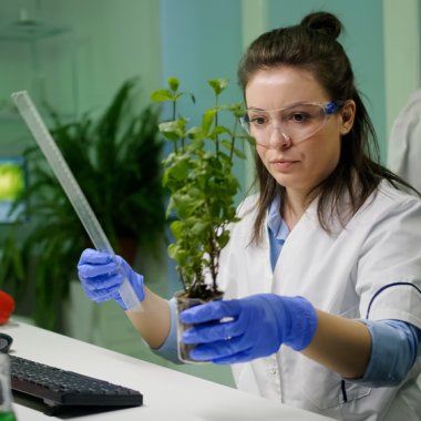 Cum se poate folosi inteligența artificială pentru a identifica și conserva specii rare de plante