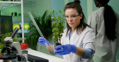 Cum se poate folosi inteligența artificială pentru a identifica și conserva specii rare de plante