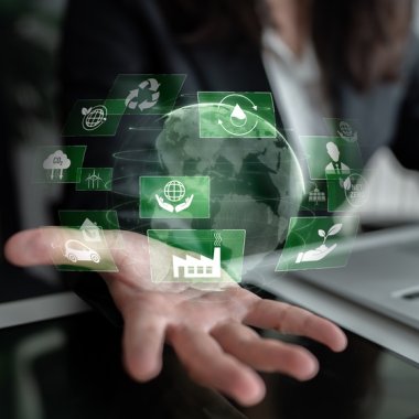 4 din 5 companii nu pot măsura impactul financiar al măsurilor de sustenabilitate