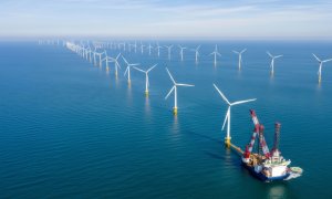 Porcii de mare versus parcurile eoliene offshore: impact asupra vieții acestora