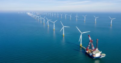 Porcii de mare versus parcurile eoliene offshore: impact asupra vieții acestora