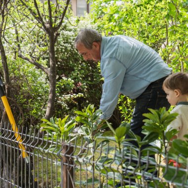 910.000 lei pentru 14 inițiative care fac Bucureștiul mai verde și mai locuibil: terase de bloc, parcări de biciclete și grădini comunitare