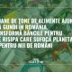 3,4 milioane de tone de alimente ajung anual la gunoi în România. Băncile pentru Alimente: Risipa alimentează și criza climatică