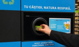 România, campioană la colectat ambalaje alimentare din carton. Cum poți contribui și tu