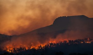 Cercetătorii au găsit soluția pentru incendiile tot mai frecvente din Europa