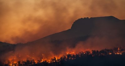 Cercetătorii au găsit soluția pentru incendiile tot mai frecvente din Europa