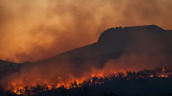 Cercetătorii au găsit soluția pentru incendiile tot mai frecvente din Europa