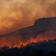 Cercetătorii au găsit soluția pentru incendiile tot mai frecvente din Europa