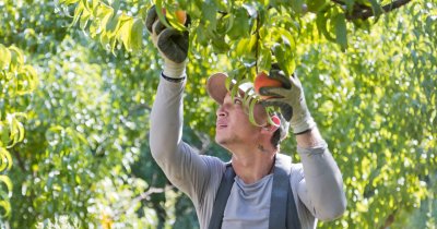 Edenred premiază producătorii locali în proiectul „Țara lui Mai Bine”